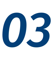 03
